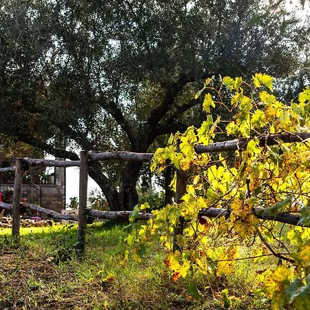 Poggio Della Stella