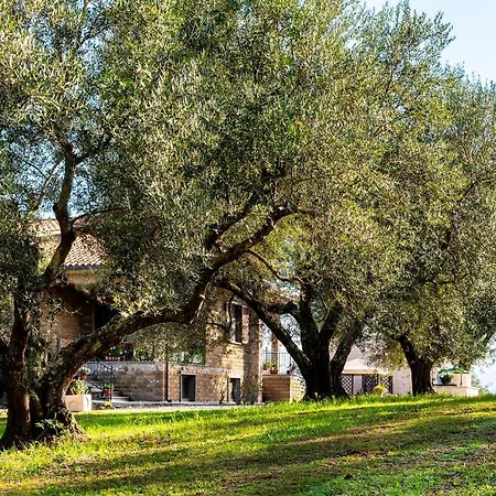Poggio Della Stella Holiday home
